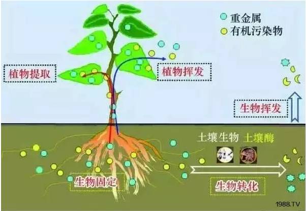 微信圖片_20170521124910.jpg