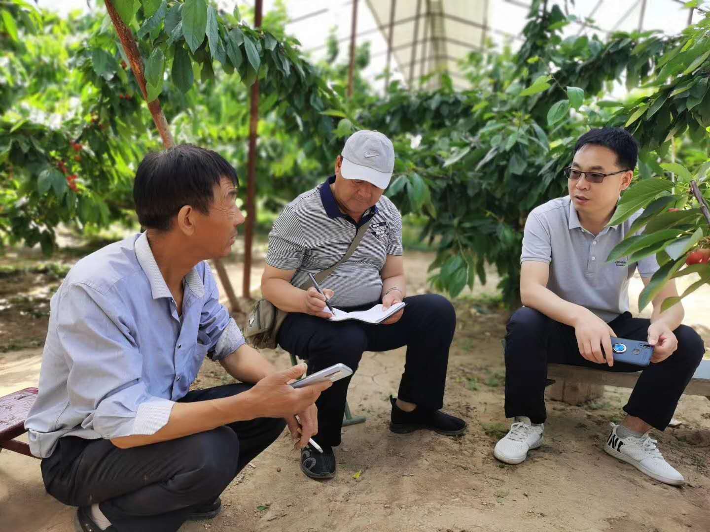 路老師和電視臺現(xiàn)場指導農(nóng)戶照片.jpg