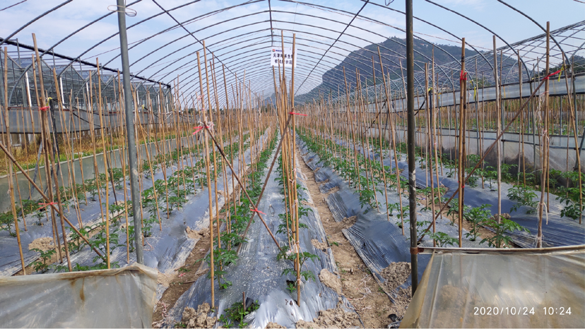 未標題-3-天津坤禾-01.png